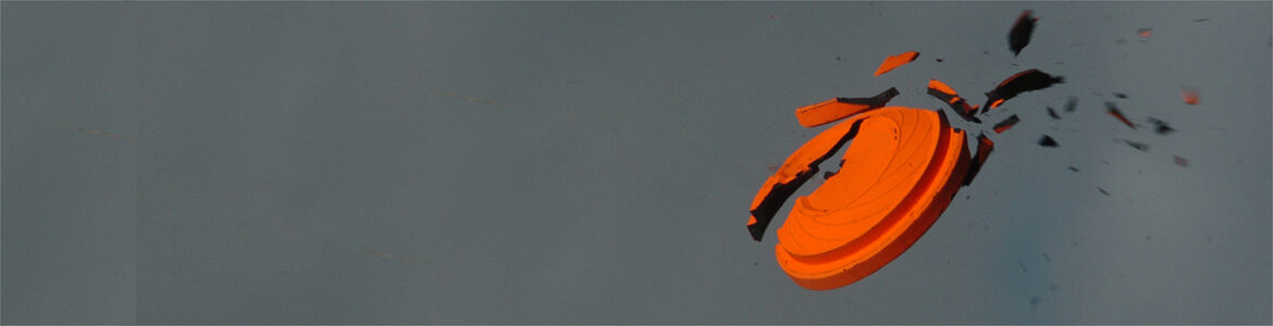 Stichting Red de Kleiduif